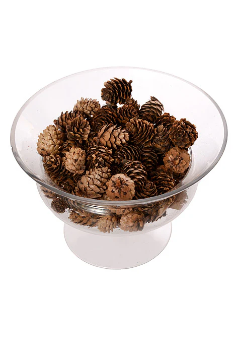 1-2" Mini Pine Cone Natural Pkg/0.5Lb - Image 2