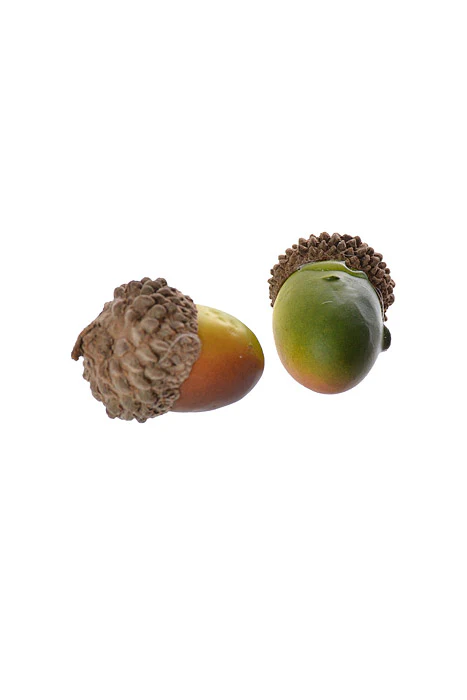 1" Acorn W/Natural Top Green PKG/50 - Image 2