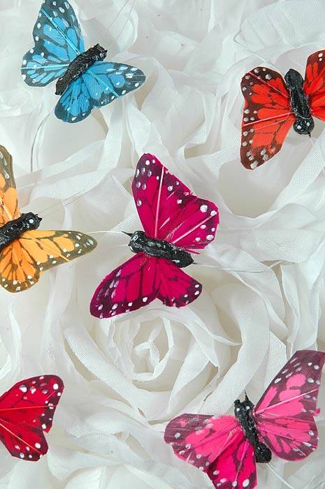 1" Mini Butterfly Assorted Pkg/12