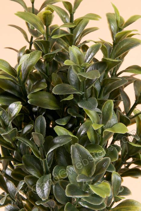 10" Boxwood Pick Green - Image 2