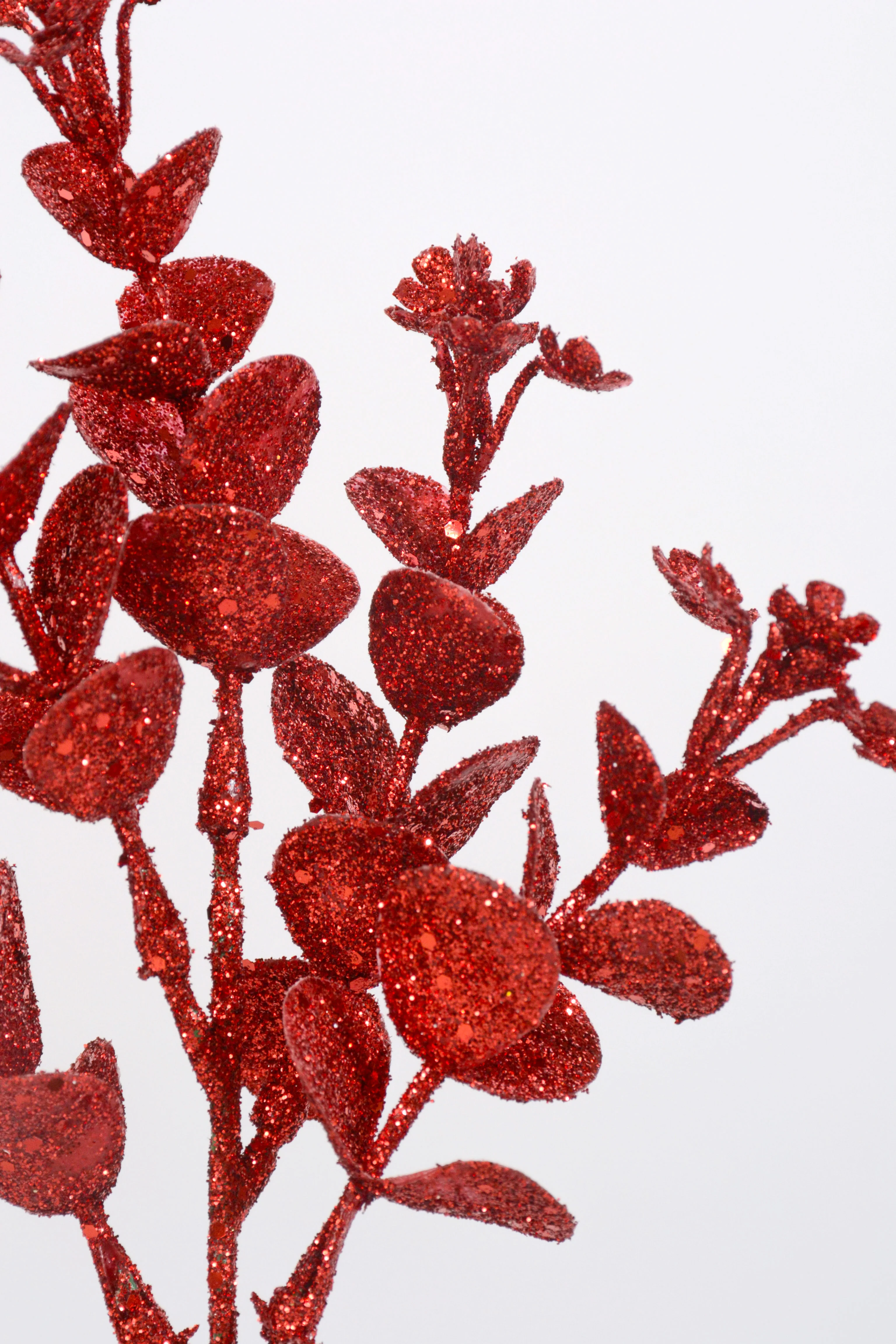 10" Eucalyptus Pick PKG12 Red - Image 2