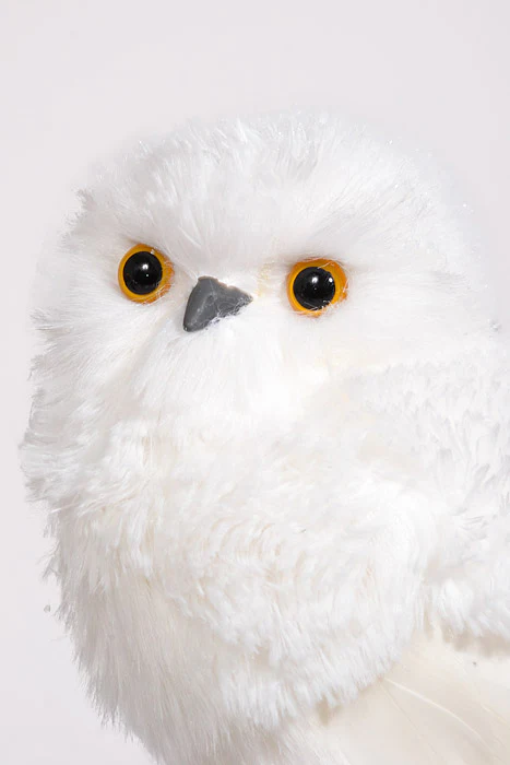 10" Feather White Owl White - Image 2