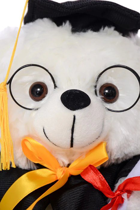 10" Graduation Bear With Glass White/Black - Image 2