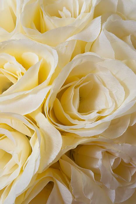 10" Rose Ball W/Ribbon Ivory - Image 2