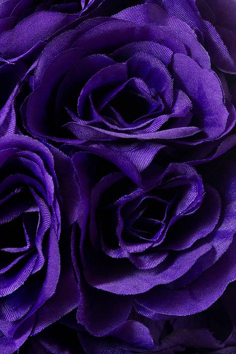 10" Rose Ball W/Ribbon Purple - Image 2
