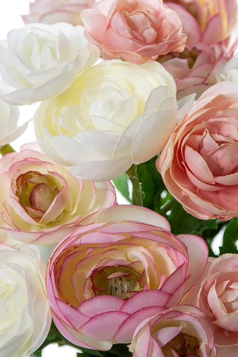 10" Silk Mini Ranunculus Bush Pink/ivory - Image 2