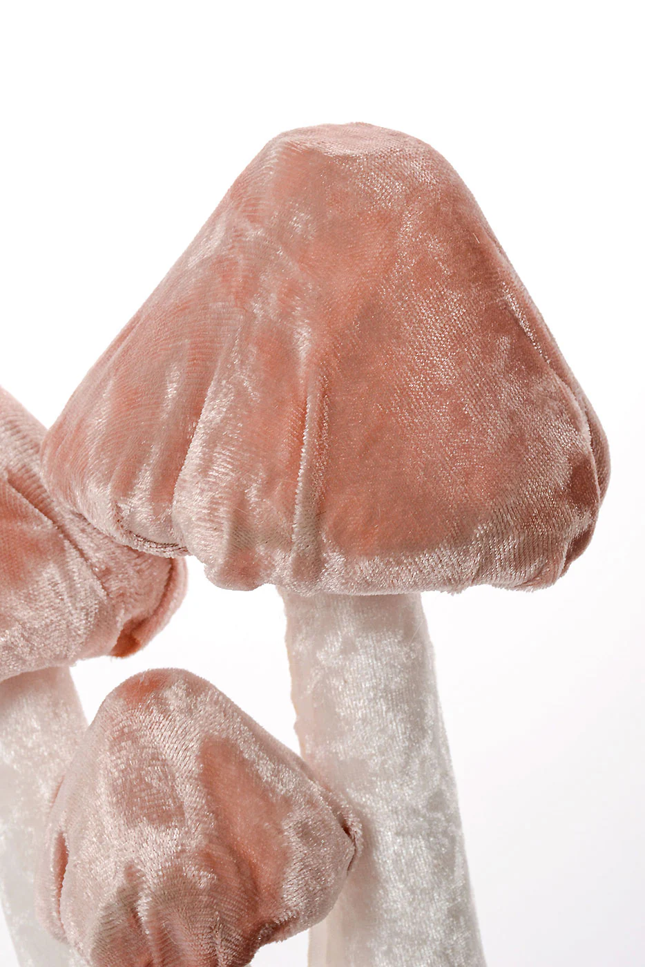 10" Velvet Mushroom Pink - Image 2