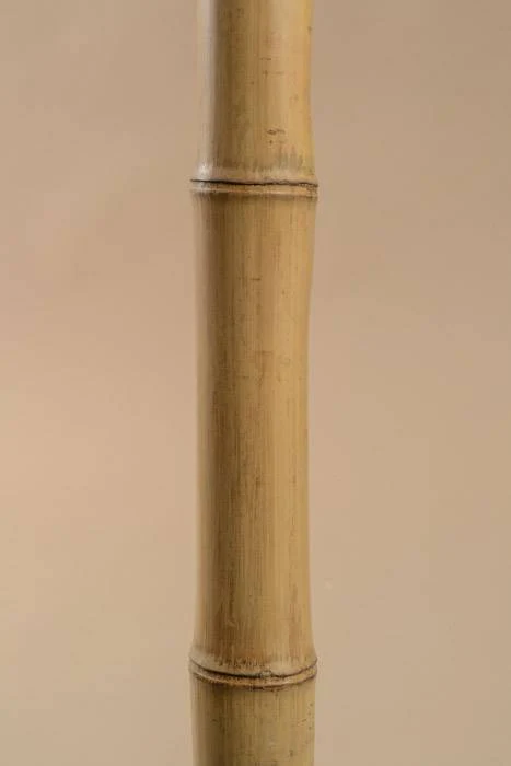 10' X 3" Bamboo Pole Natural