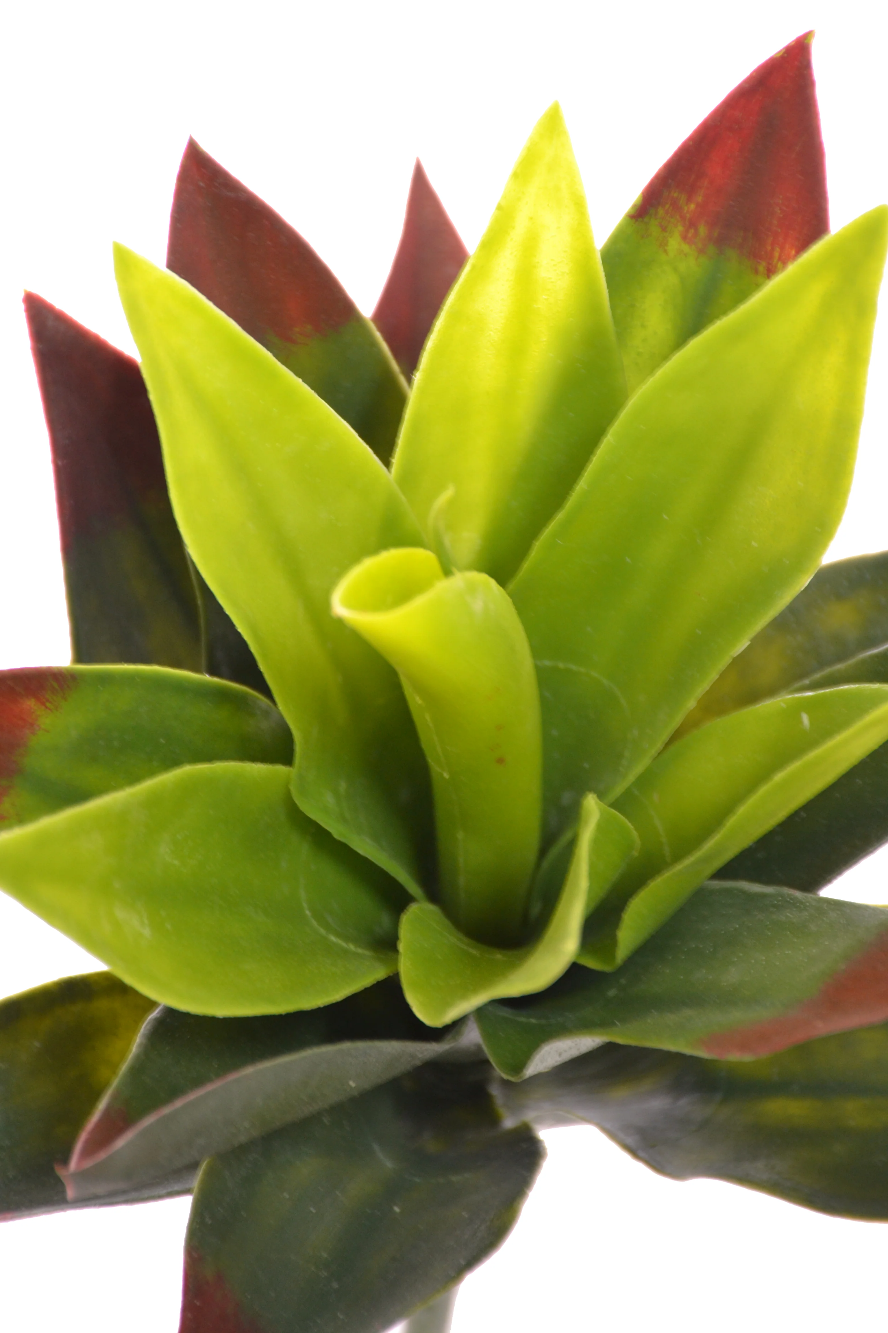11" Agave Plant Green - Image 2