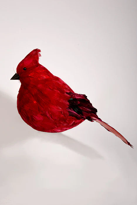 11" Feather Cardinal Red - Image 3