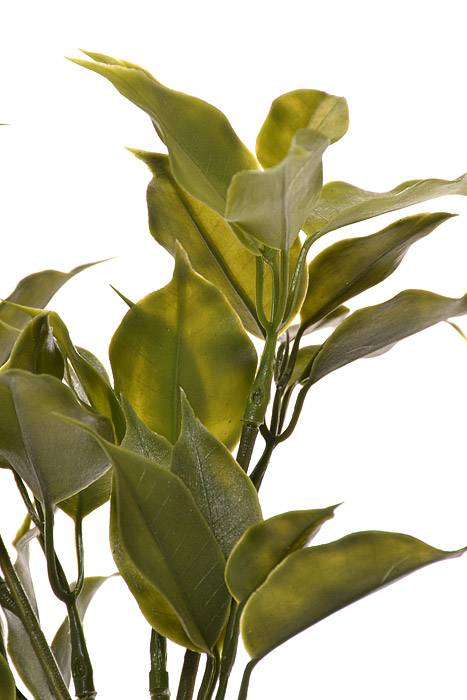 11" Plastic Pomelo Leaf Spray Green - Image 2