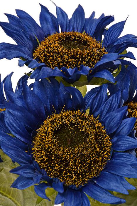 11" Silk Sunflower Bush Blue x 4 - Image 2