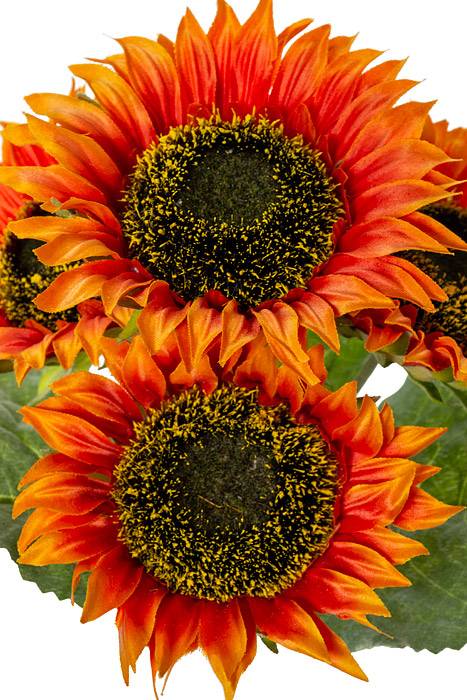 11" Silk Sunflower Bush Orange x 4 - Image 2