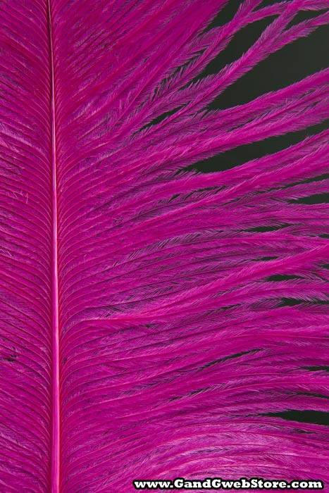 12"-14" Ostrich Feather Hot Pink Pkg/12 - Image 2