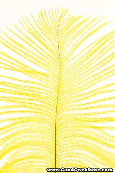 12"-14" Ostrich Feather Yellow Pkg/12 - Image 2