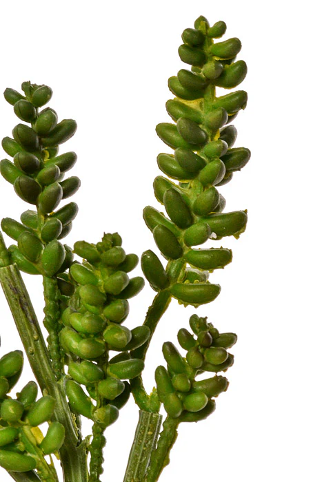 12" Donkey Tail Pick Green - Image 2