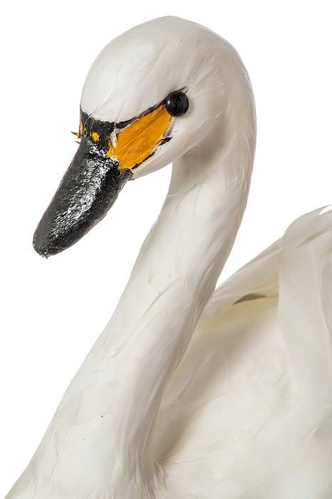12" Feather Swan White - Image 2
