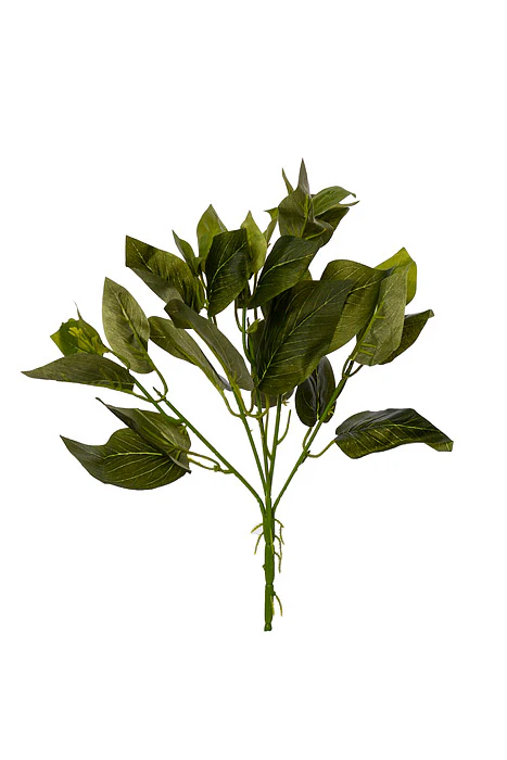 12" Golden Pothos Leaf Bush Green