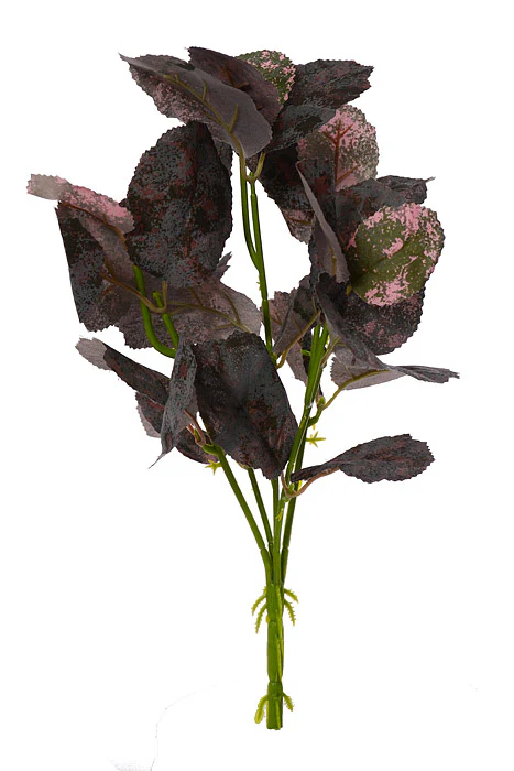 12" Mulberry Leaf Bush Purple