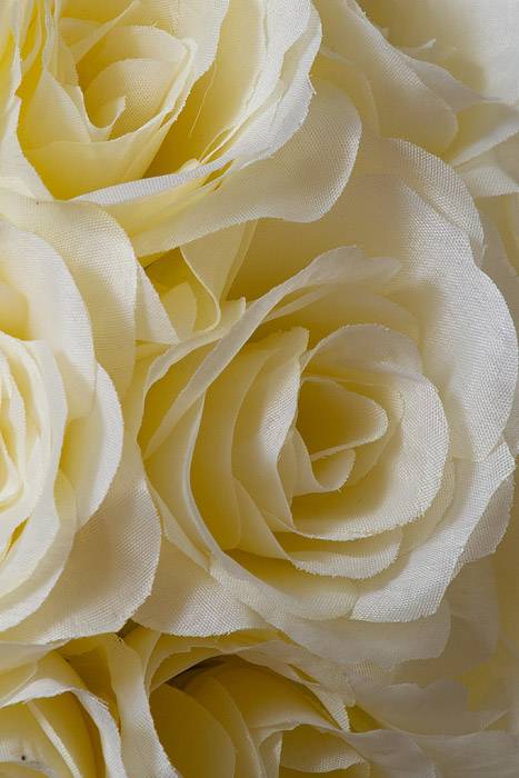12" Rose Ball W/ribbon Ivory - Image 2