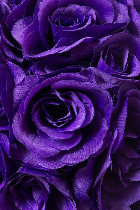 12" Rose Ball W/ribbon Purple - Image 2