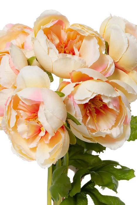 12" Silk Ranunculus Bundle  Pink/Soft Yellow - Image 2
