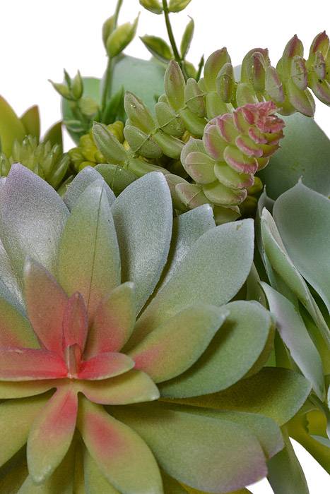 12" Succulent Bundle Green - Image 2