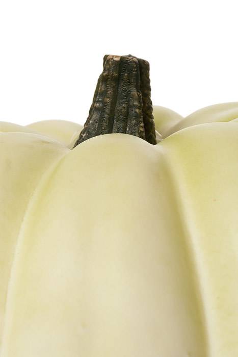 12" X "8.5" Latex Harvest Vine Pumpkin Cream - Image 2