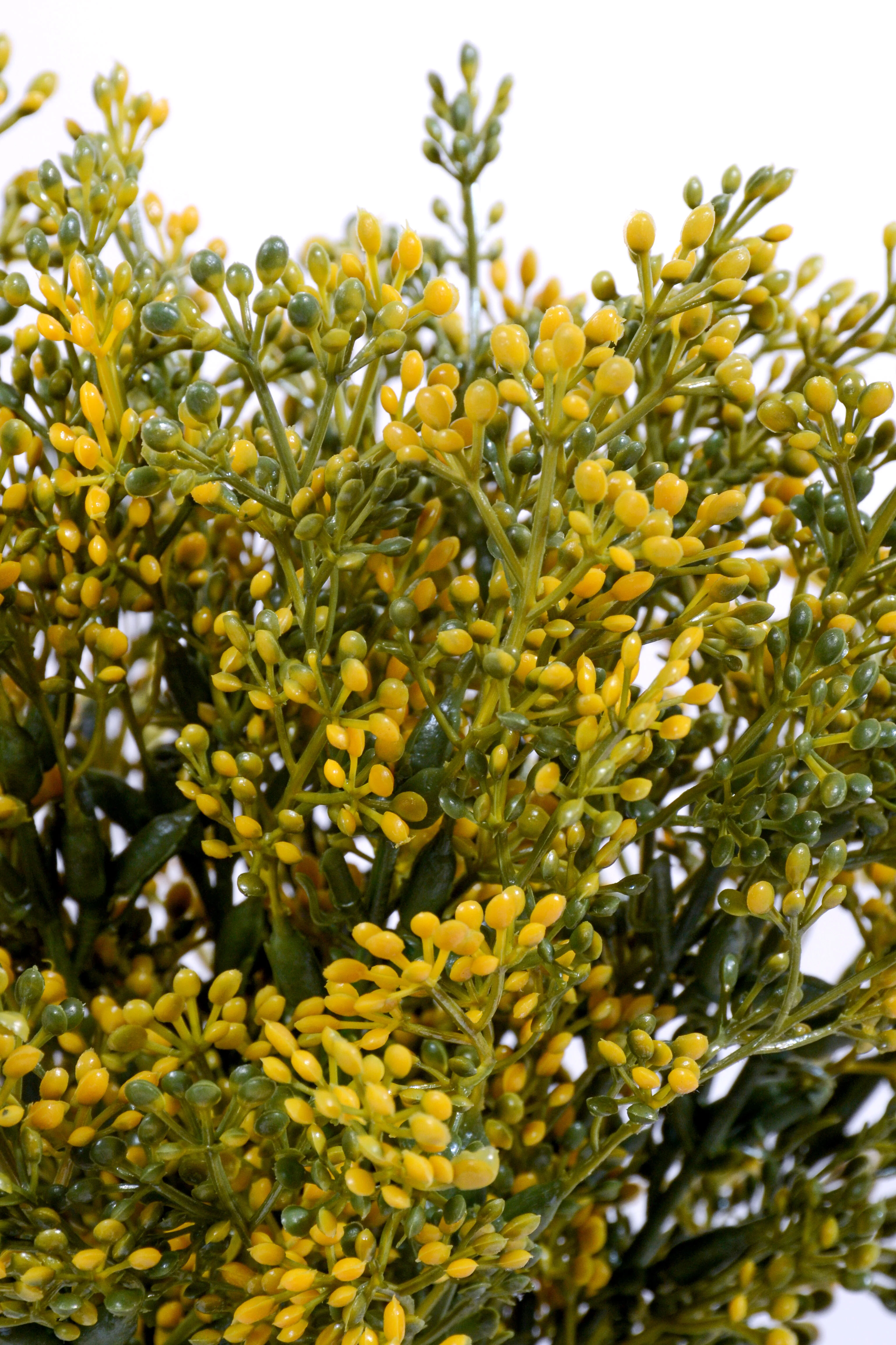 13.5" Boxwood Flower Bush Yellow - Image 2