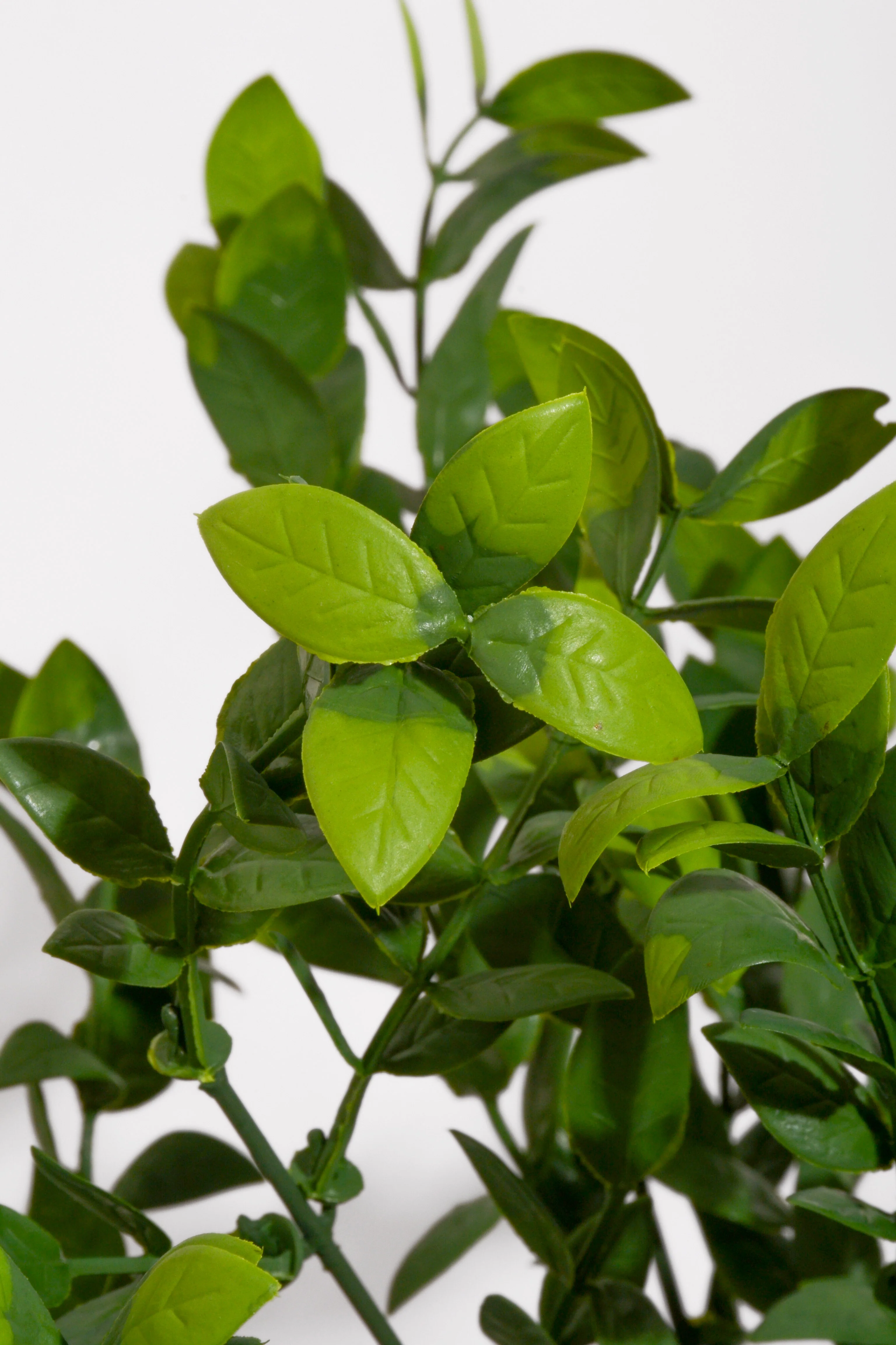 13.5" UV Artificial Ruscus Bush Green Pkg/2 - Image 2