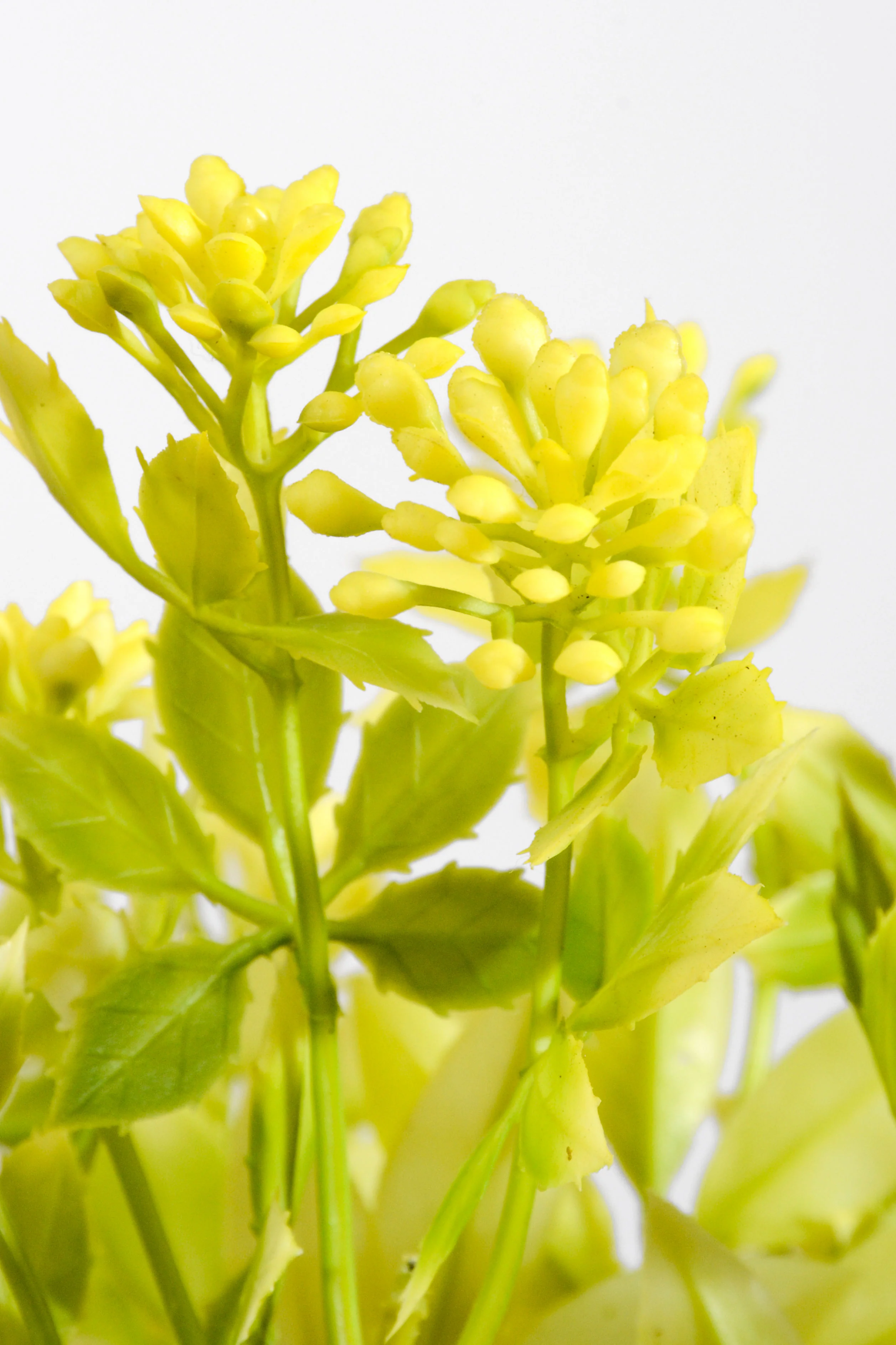 13" Artificial Azolla Bush Green/Yellow - Image 2
