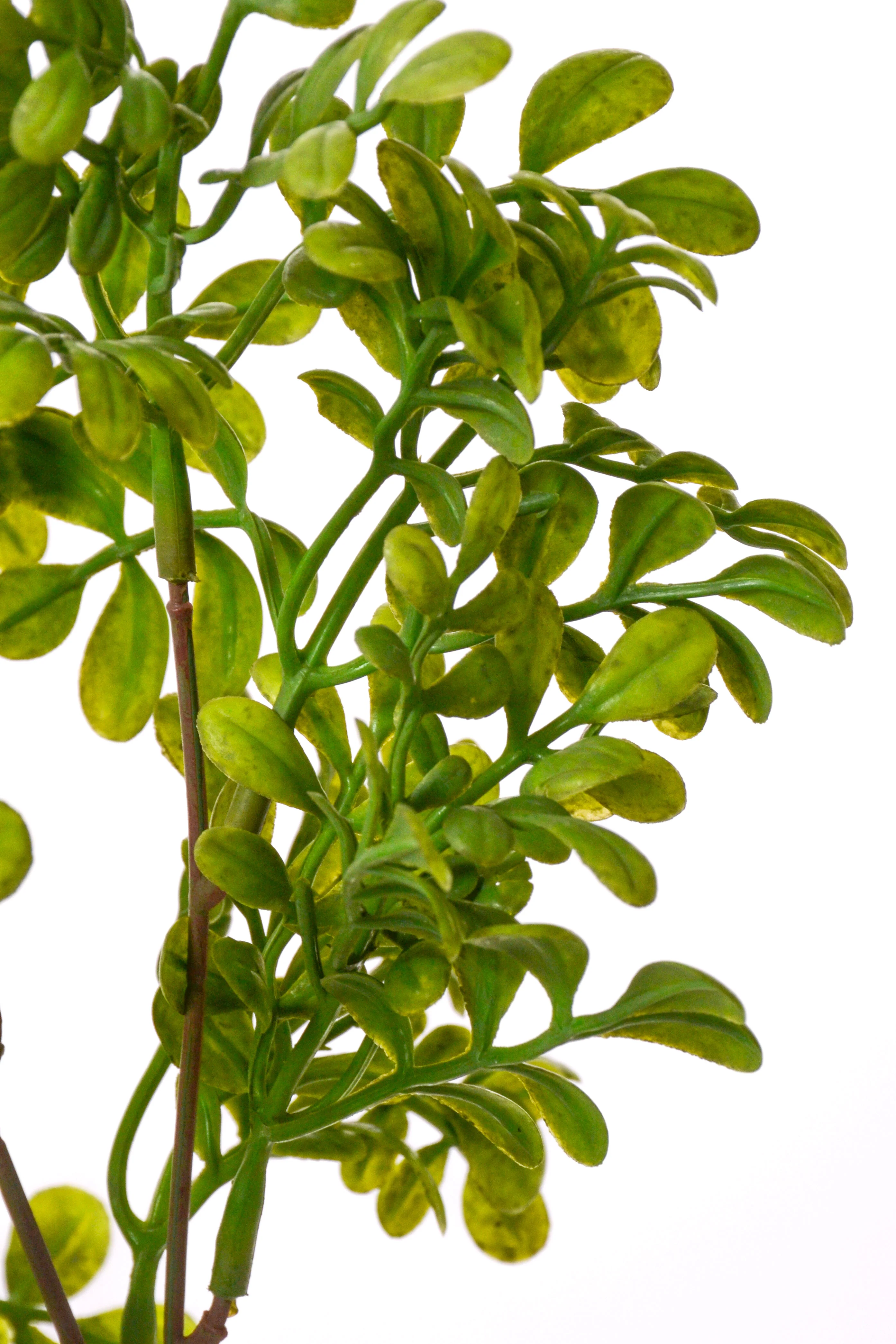 13" Artificial Common Rue Bush Green - Image 2