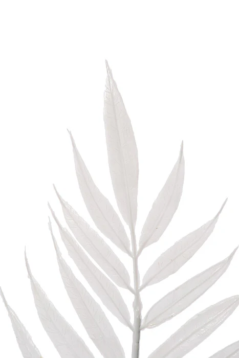 13" Emerald Fern White CS/144Pcs - Image 2