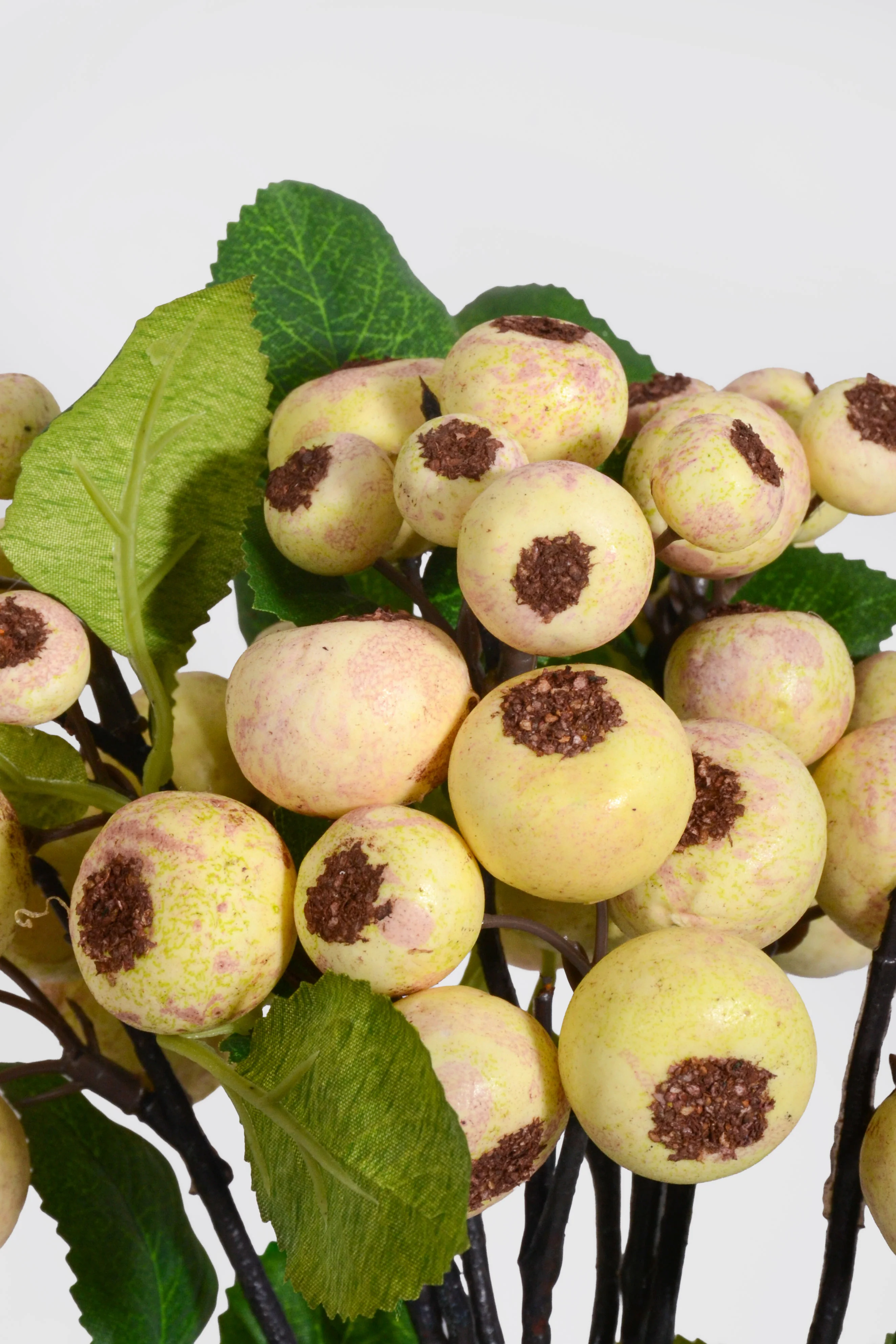 13'' Wild Apple Bundle Cream - Image 2