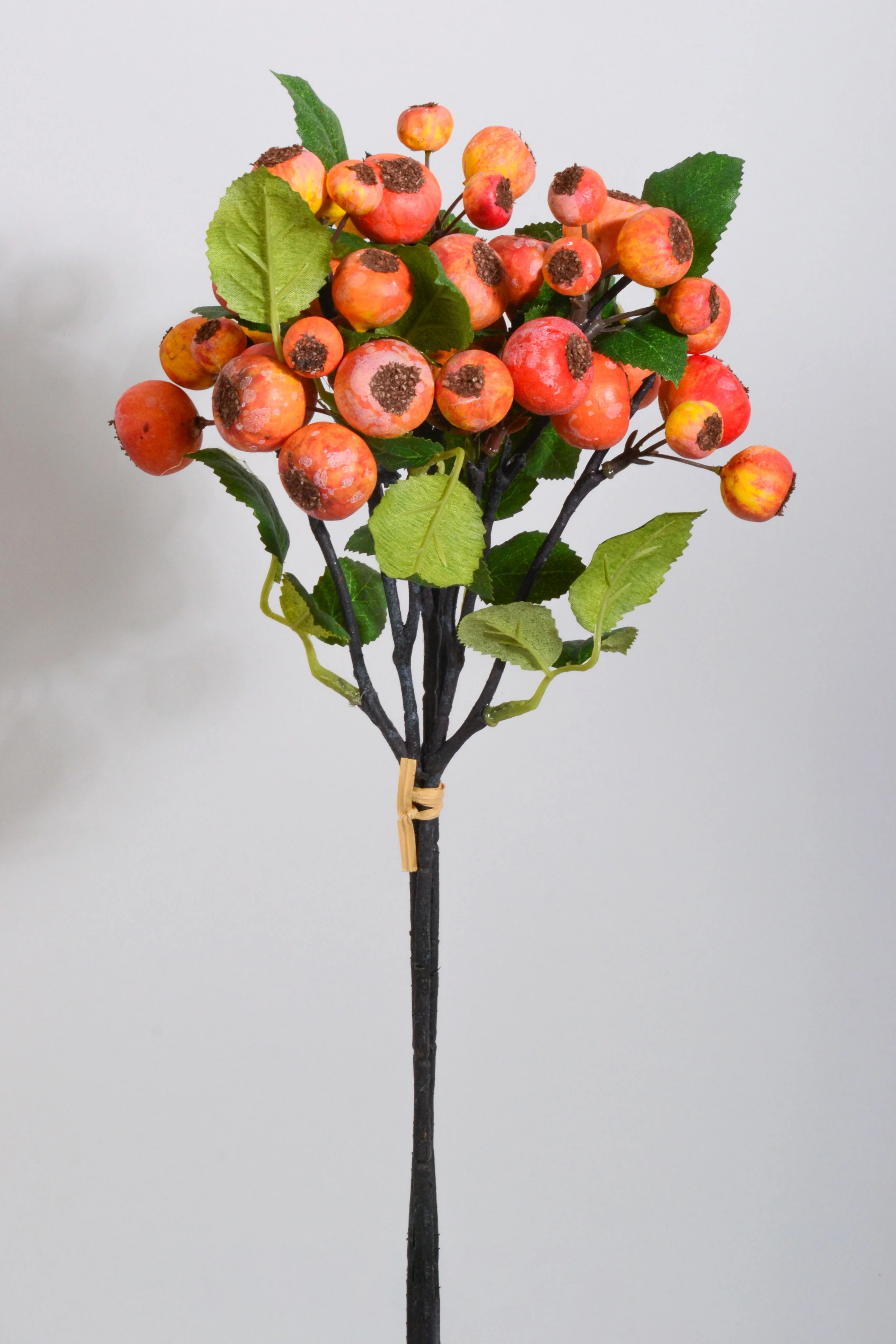 13'' Wild Apple Bundle Orange