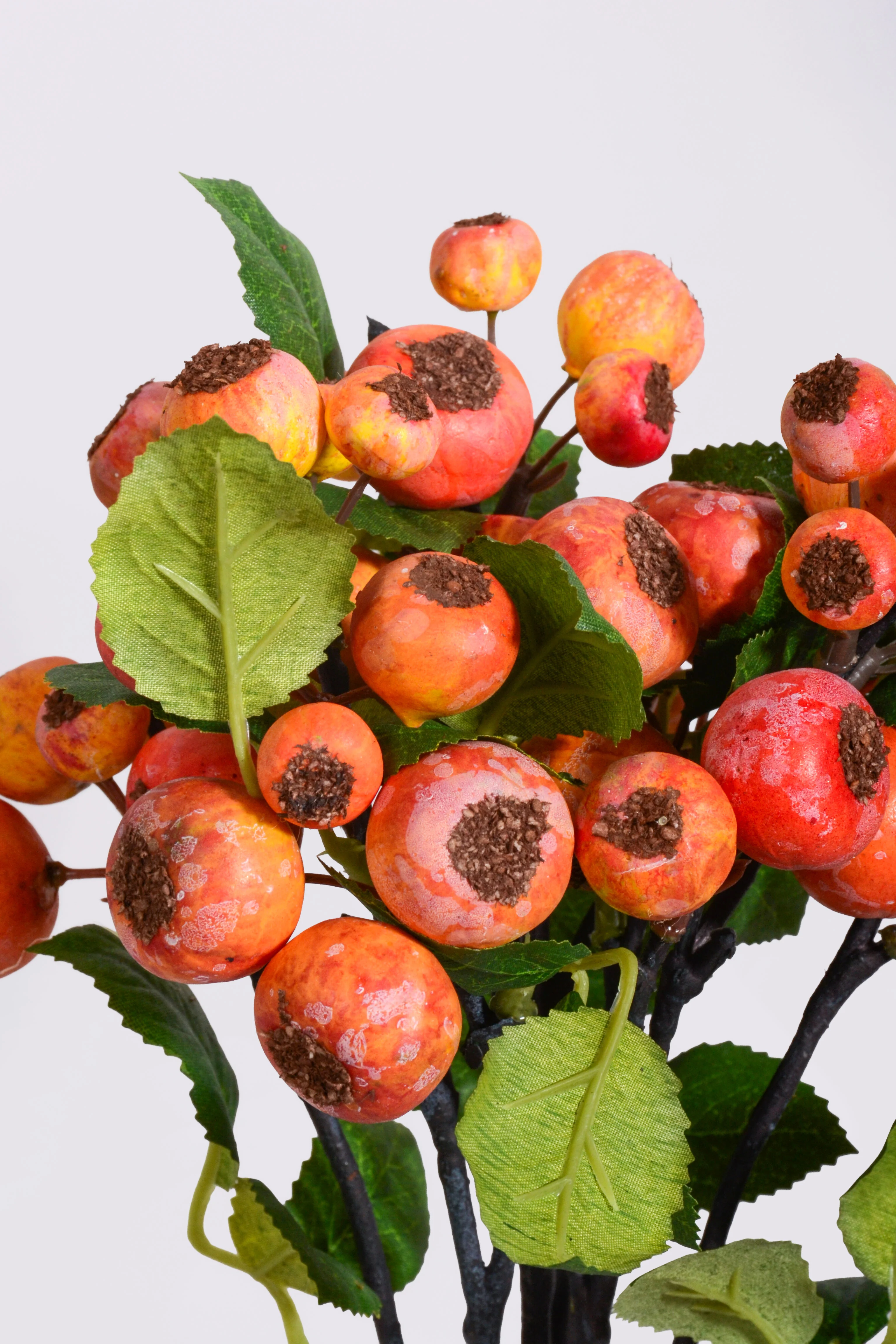 13'' Wild Apple Bundle Orange - Image 2