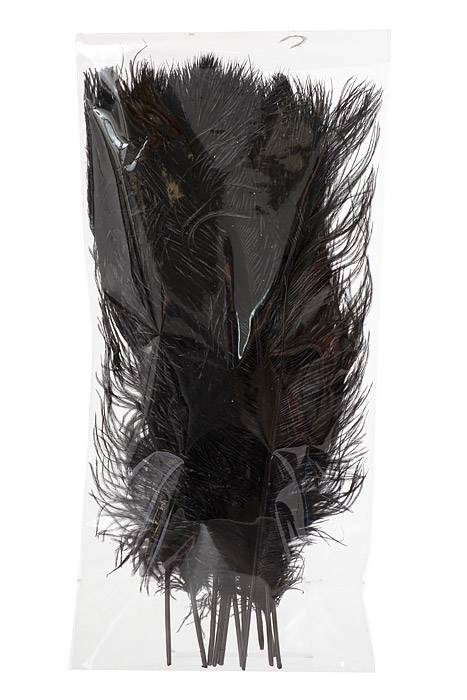 14 - 16" Ostra Feather Black Pkg/12 - Image 3