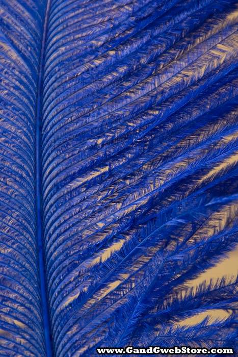 14"-16" Ostrich Feather Royal Blue Pkg/12 - Image 3