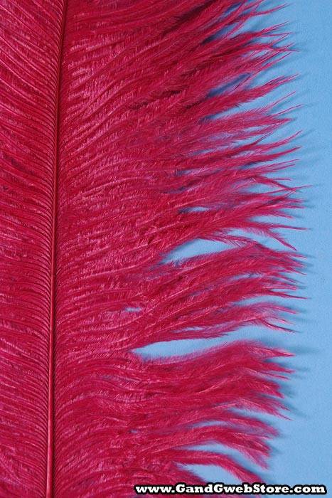 14"-16" Ostrich Feather Wine Pkg/12 - Image 2