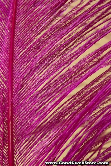 14"-16" Single Ostrich Feather Fuchsia - Image 2