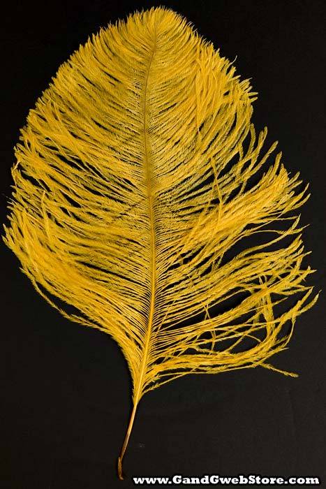 14"-16" Single Ostrich Feather Gold - Image 2