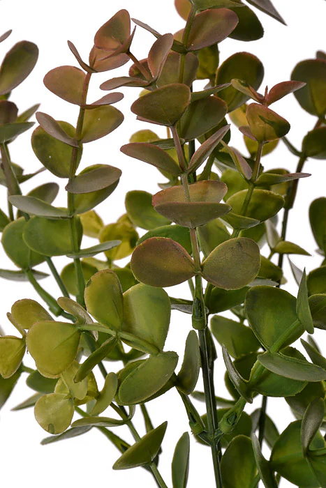 14.25" Eucalyptus Bush Green/Burgundy - Image 2