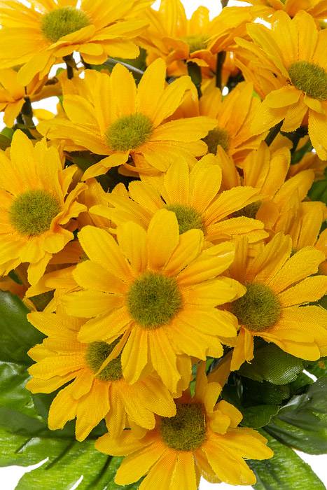 14" Silk Daisy Bundle Yellow - Image 2