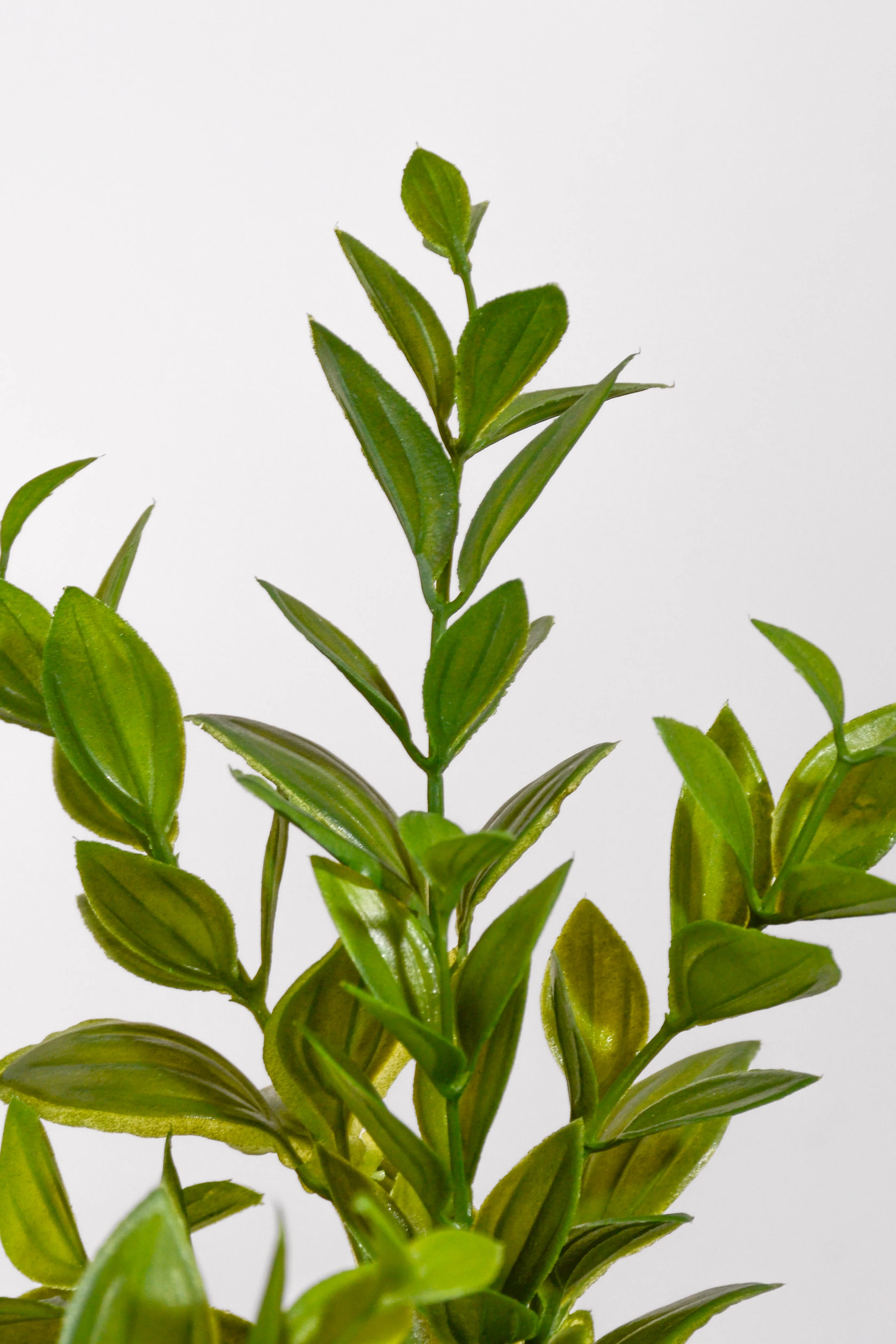 14" Uv Artificial Ruscus Bush Green - Image 2