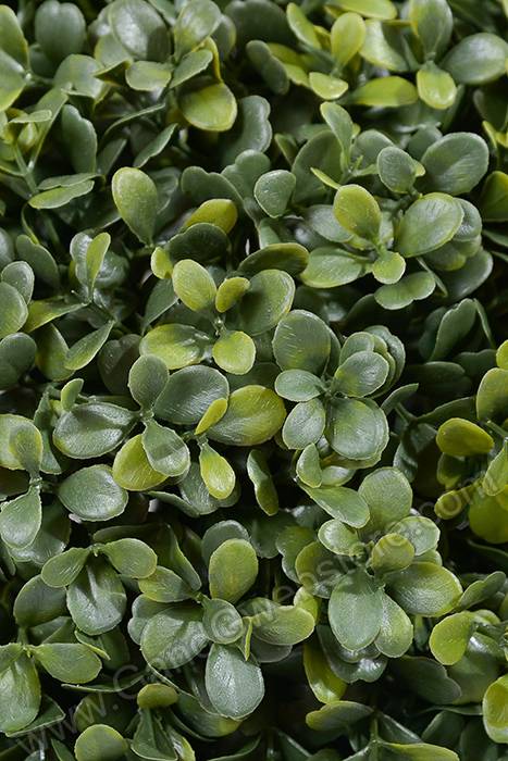 15.5" Boxwood Ball Green - Image 2