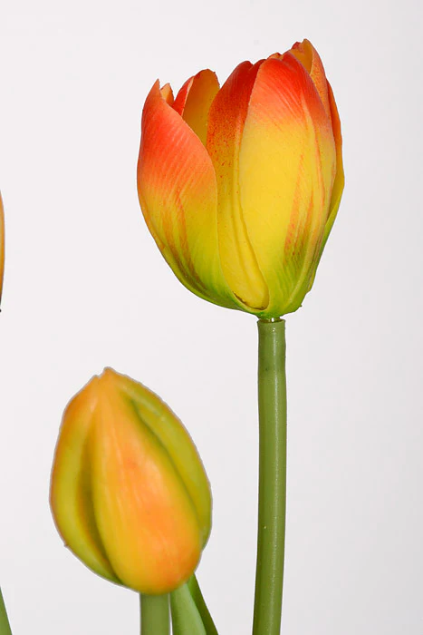 15.75" Artificial Tulip Bundle Orange - Image 2