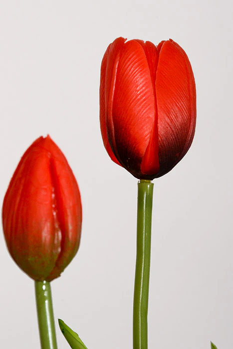15.75" Artificial Tulip Bundle Red - Image 2