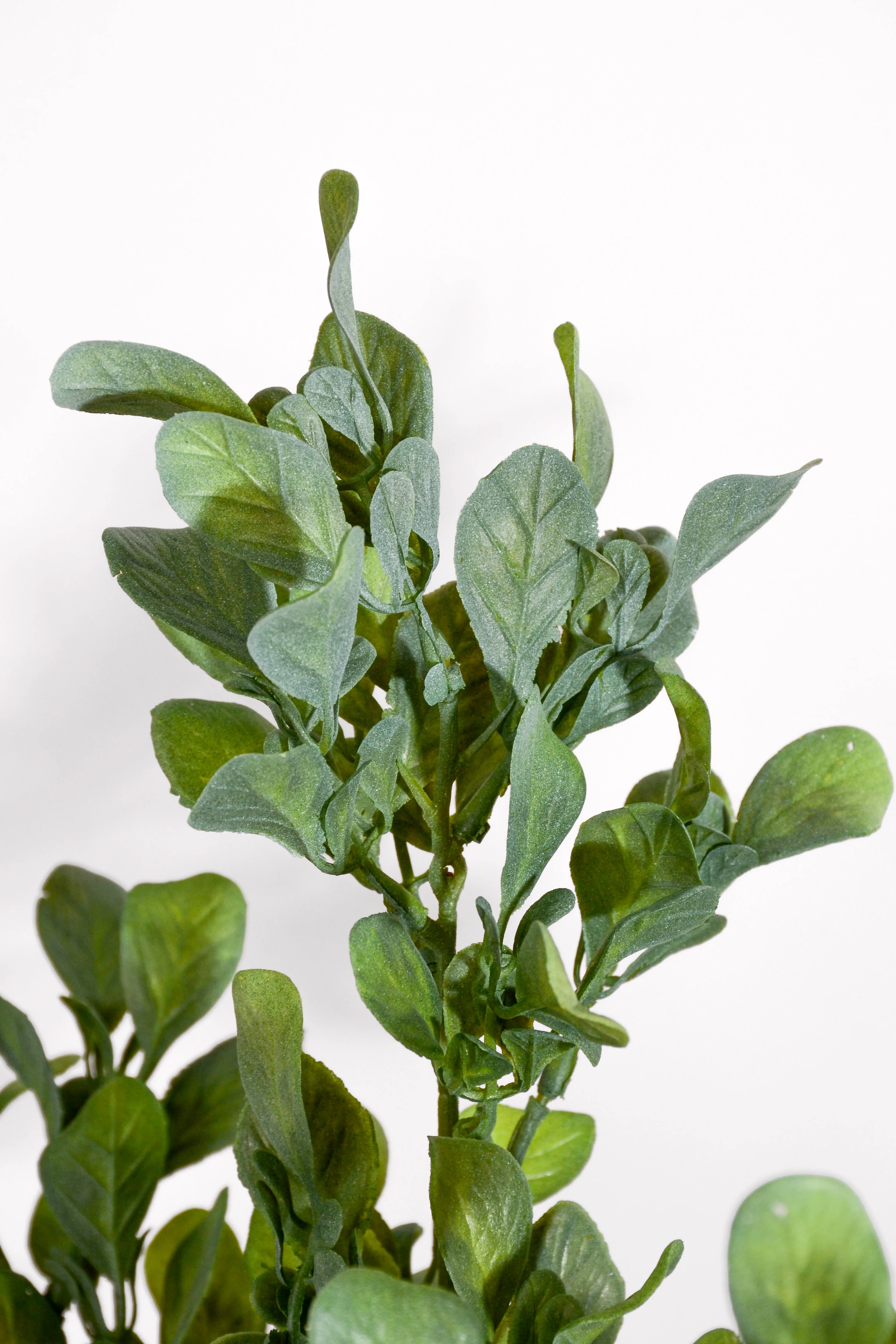 15.75" Uv Artificial Eucalyptus Bush Green - Image 2