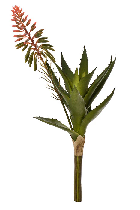 15" Blooming Agave Pick Pink/Green