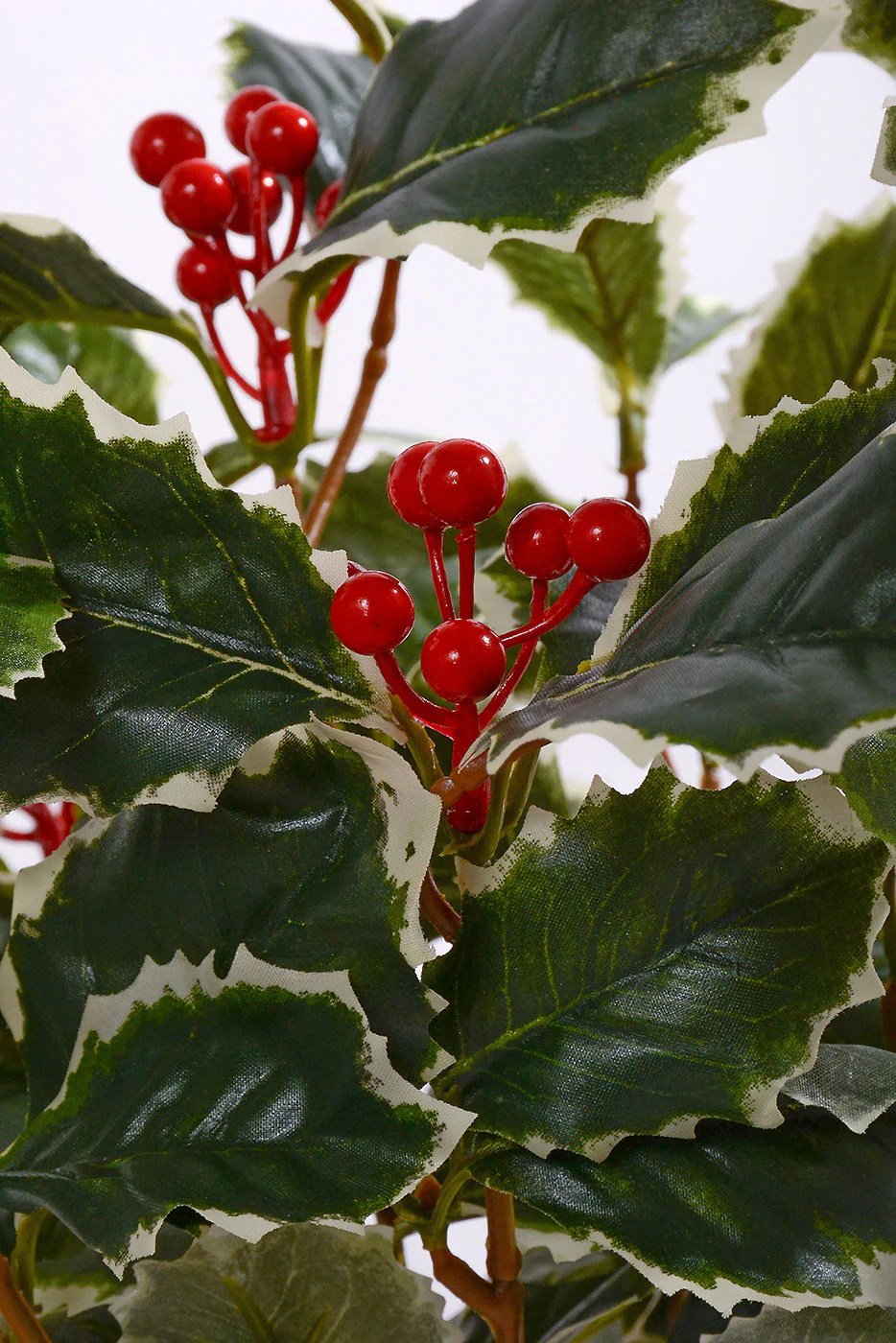 15'' Holly Bush With Berry Variegated Green/Red - Image 2